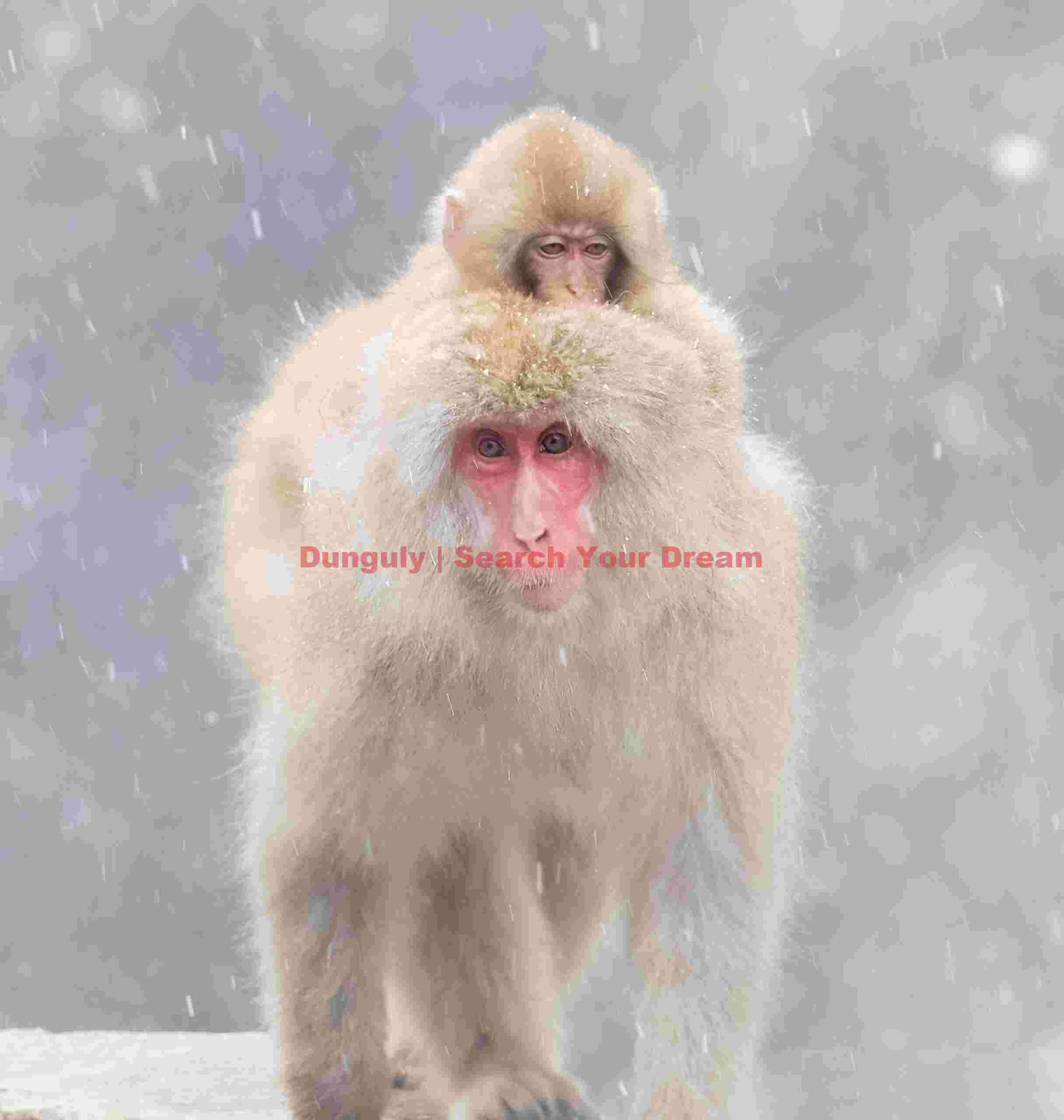 Head-on view of mother with baby on back in falling snow