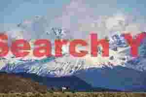 Horse in a Landscape