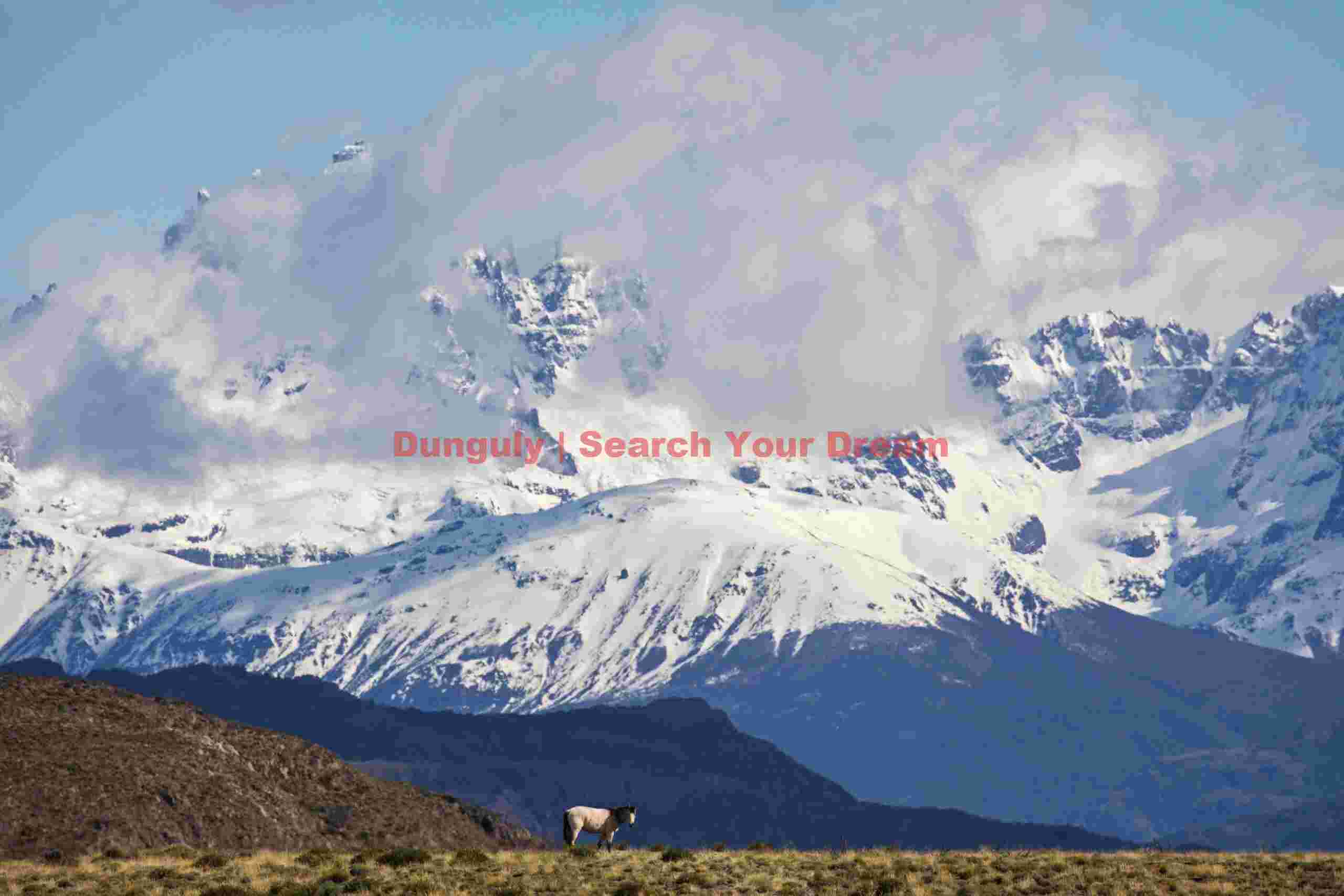 Horse in a Landscape