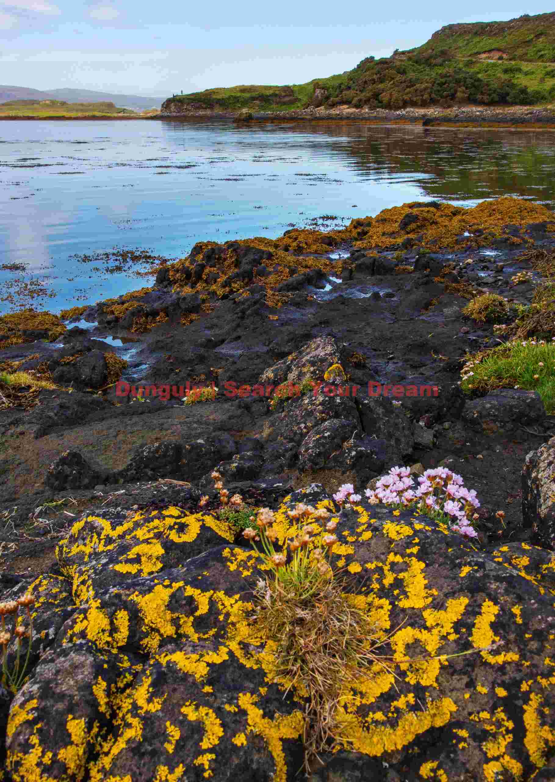 Isle of Harris, rocky coastline #1
