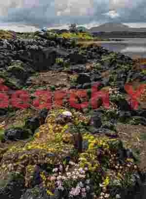 Isle of Harris, rocky coastline #3