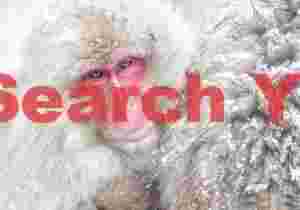 Jigokudani Snow Monkey Park, Japan