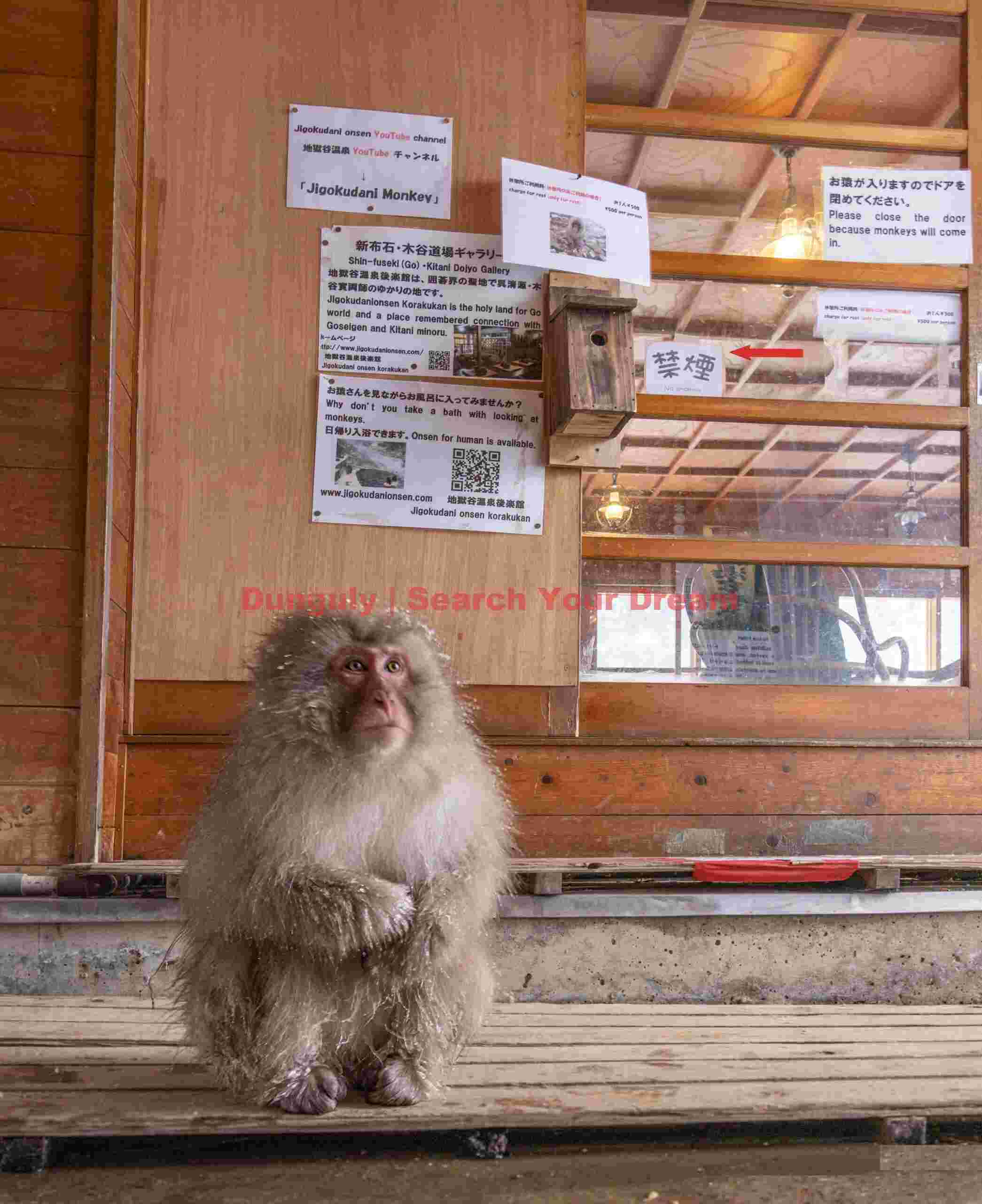 Keep the door shut of the monkeys will get in