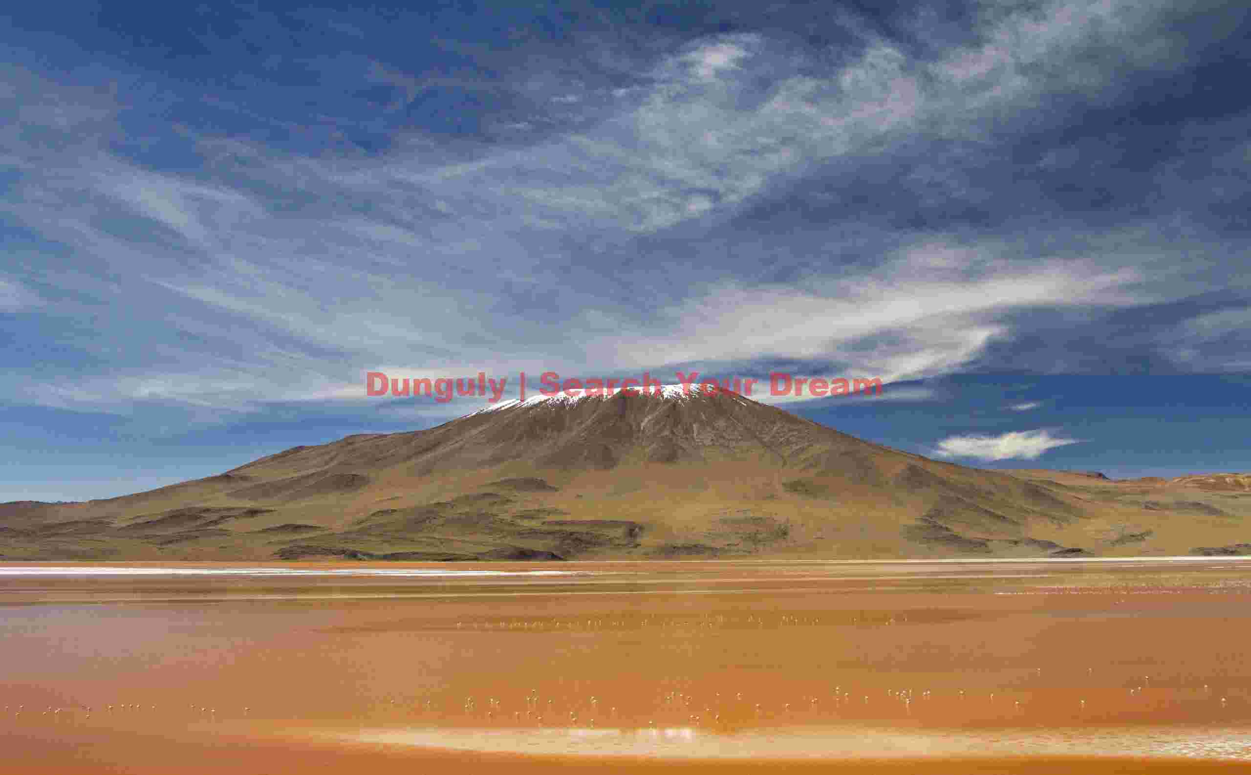 Laguna Colorado with flamingos