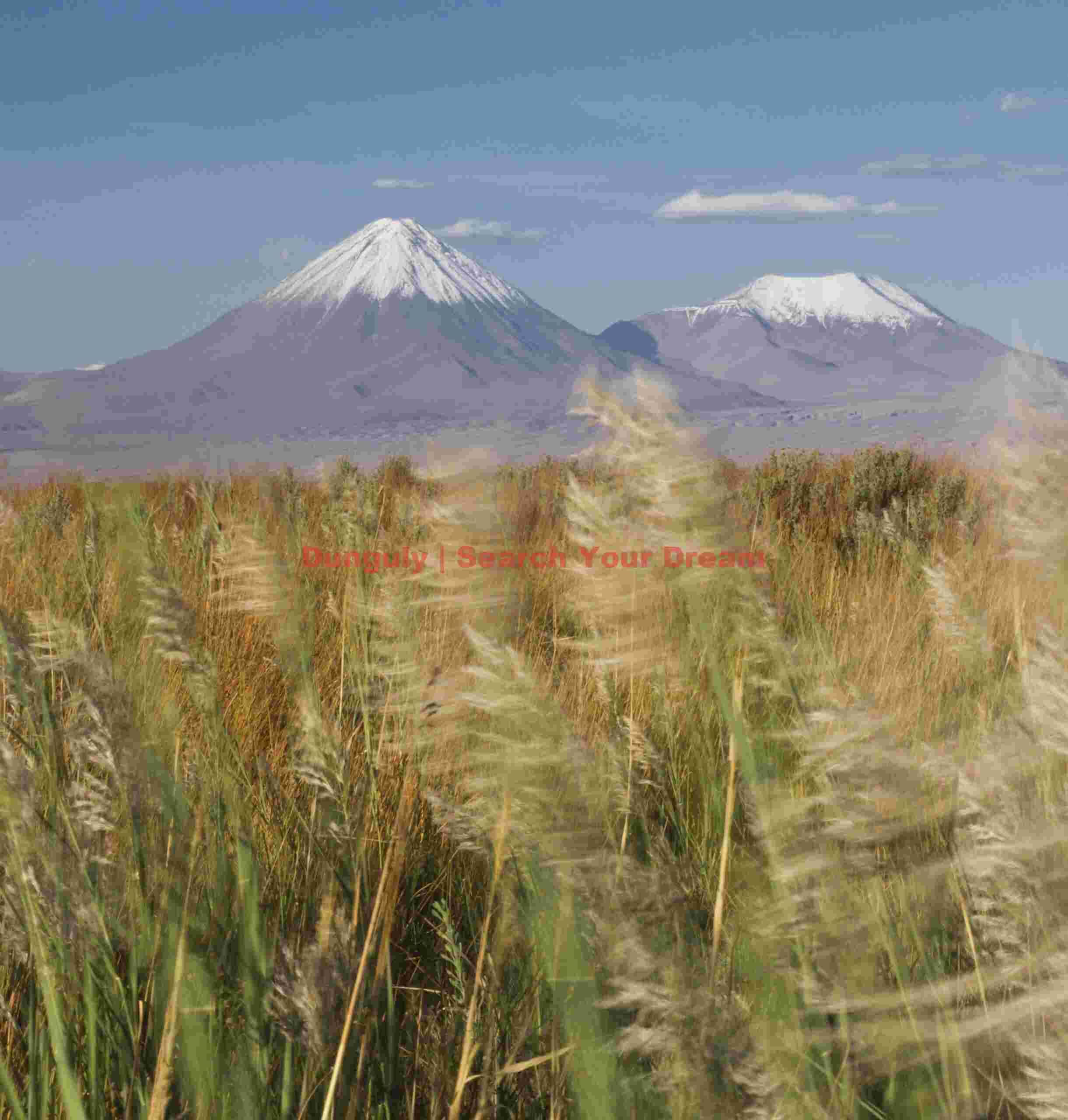 Licancabur over blowing grasses