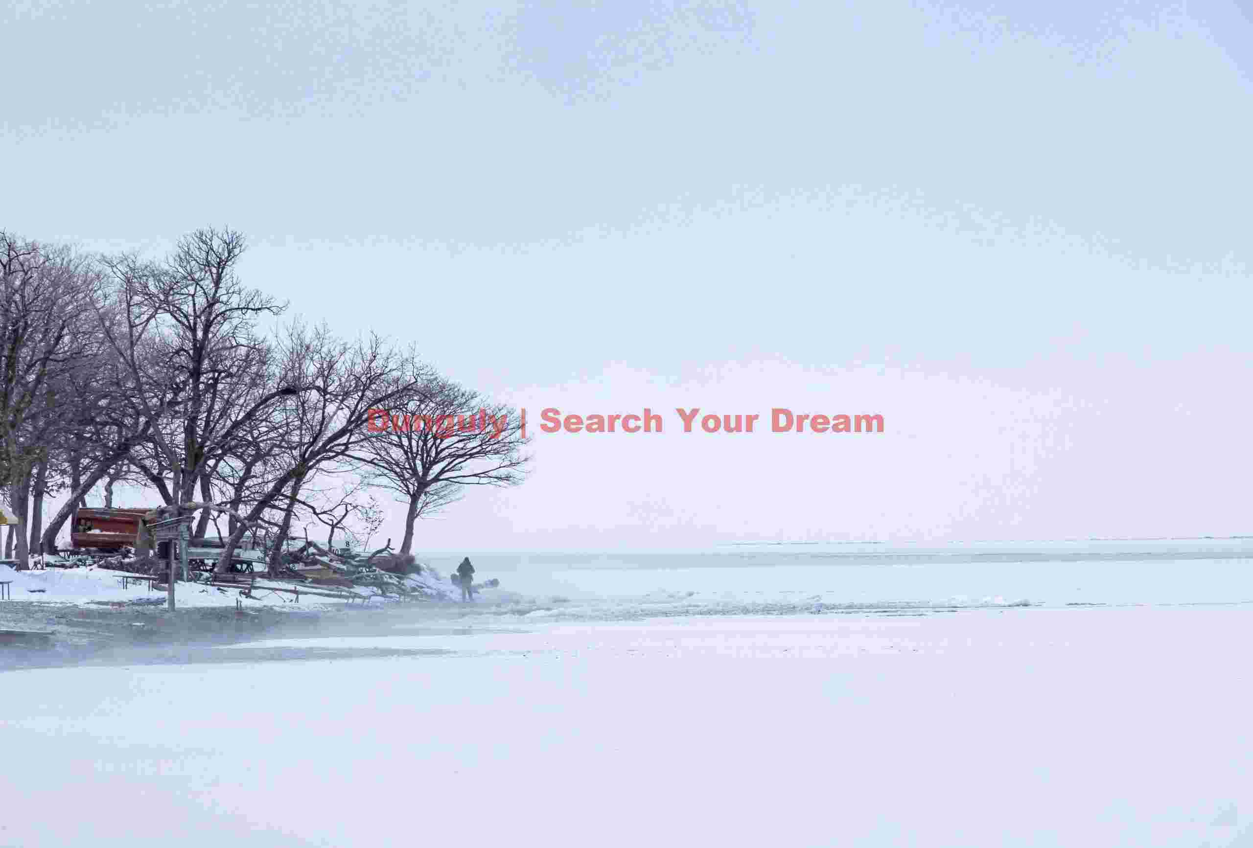 Lone figure by frozen lake in near whiteout