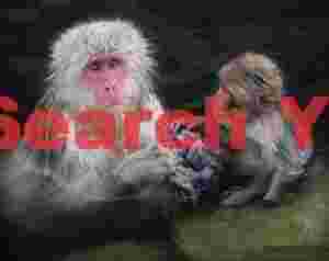 Mother and baby bathng in onsen by green rock