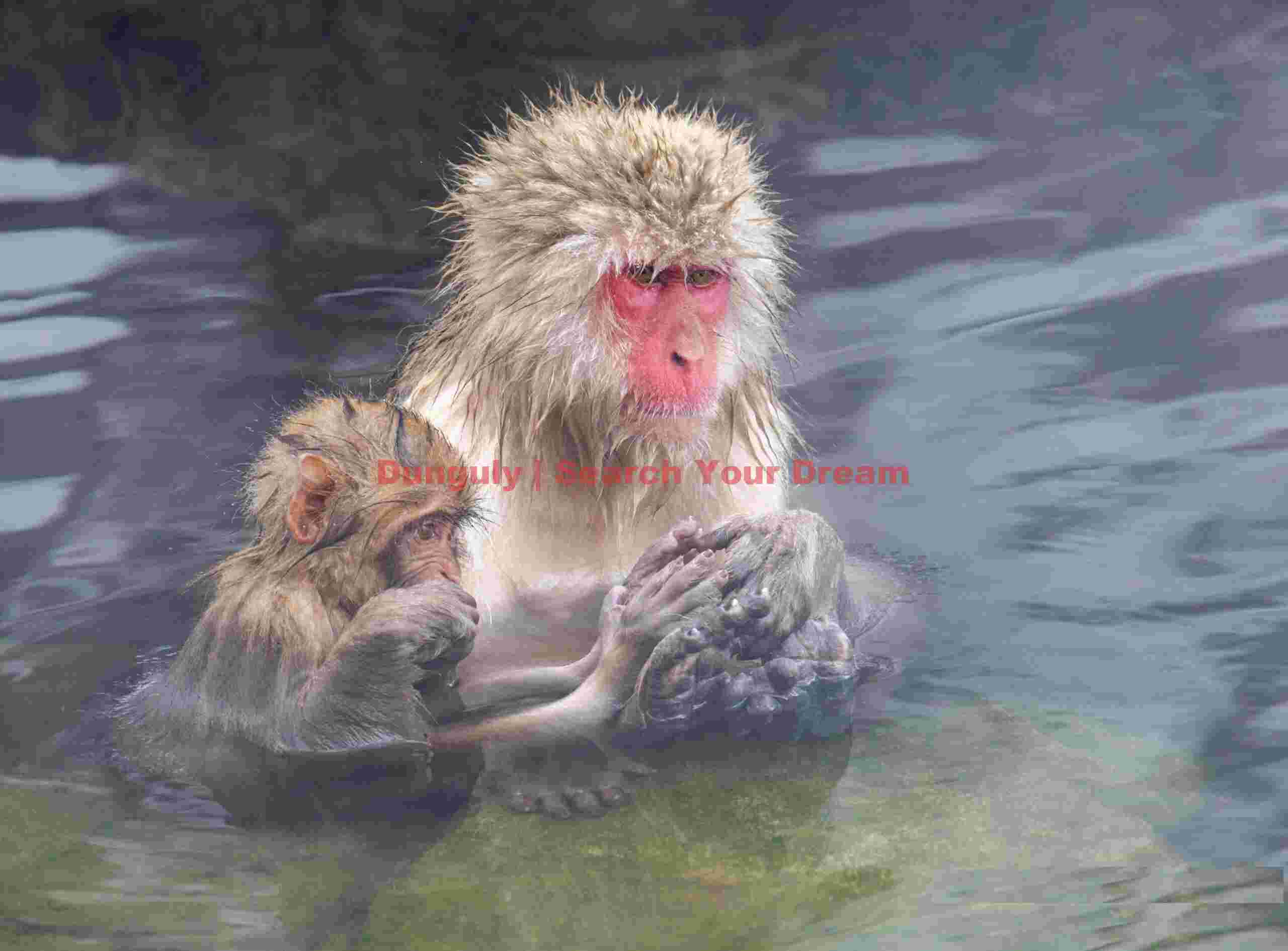 Mother and baby clasping hands in the onsen
