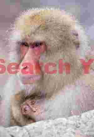 Mother cuddling baby by the edge of the onsen