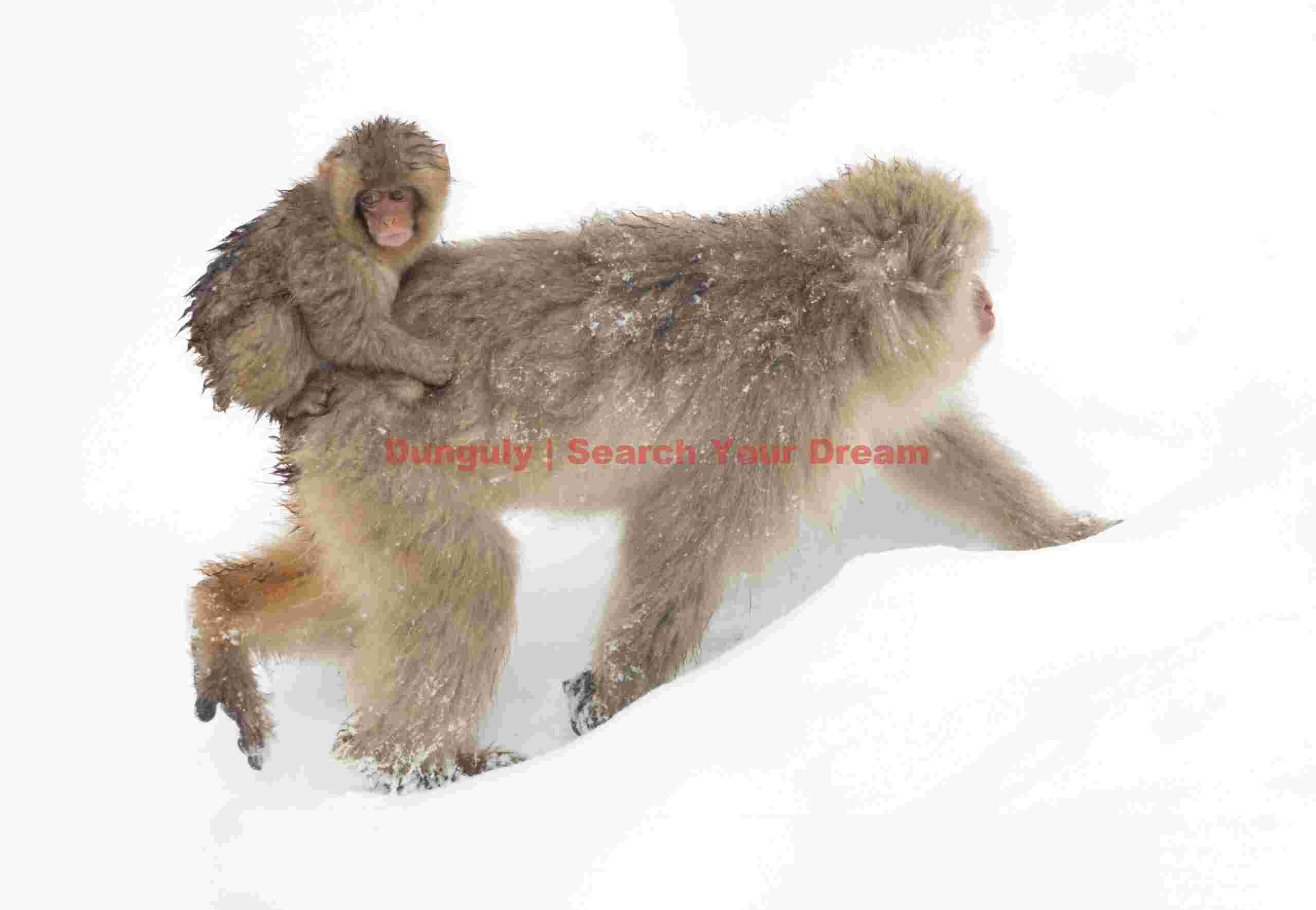 Mother running through snow with baby on back