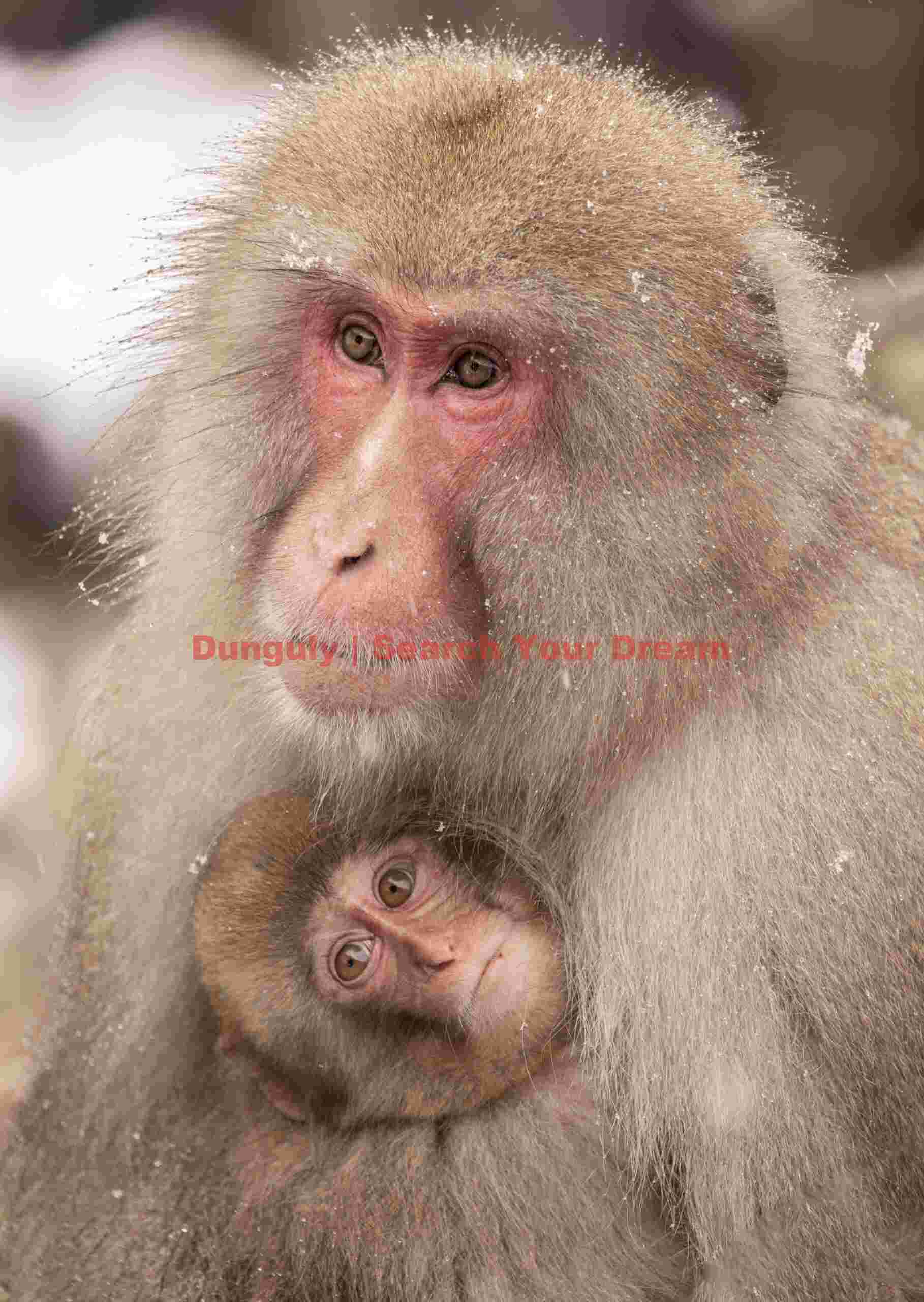 Mother with baby cuddled under chin