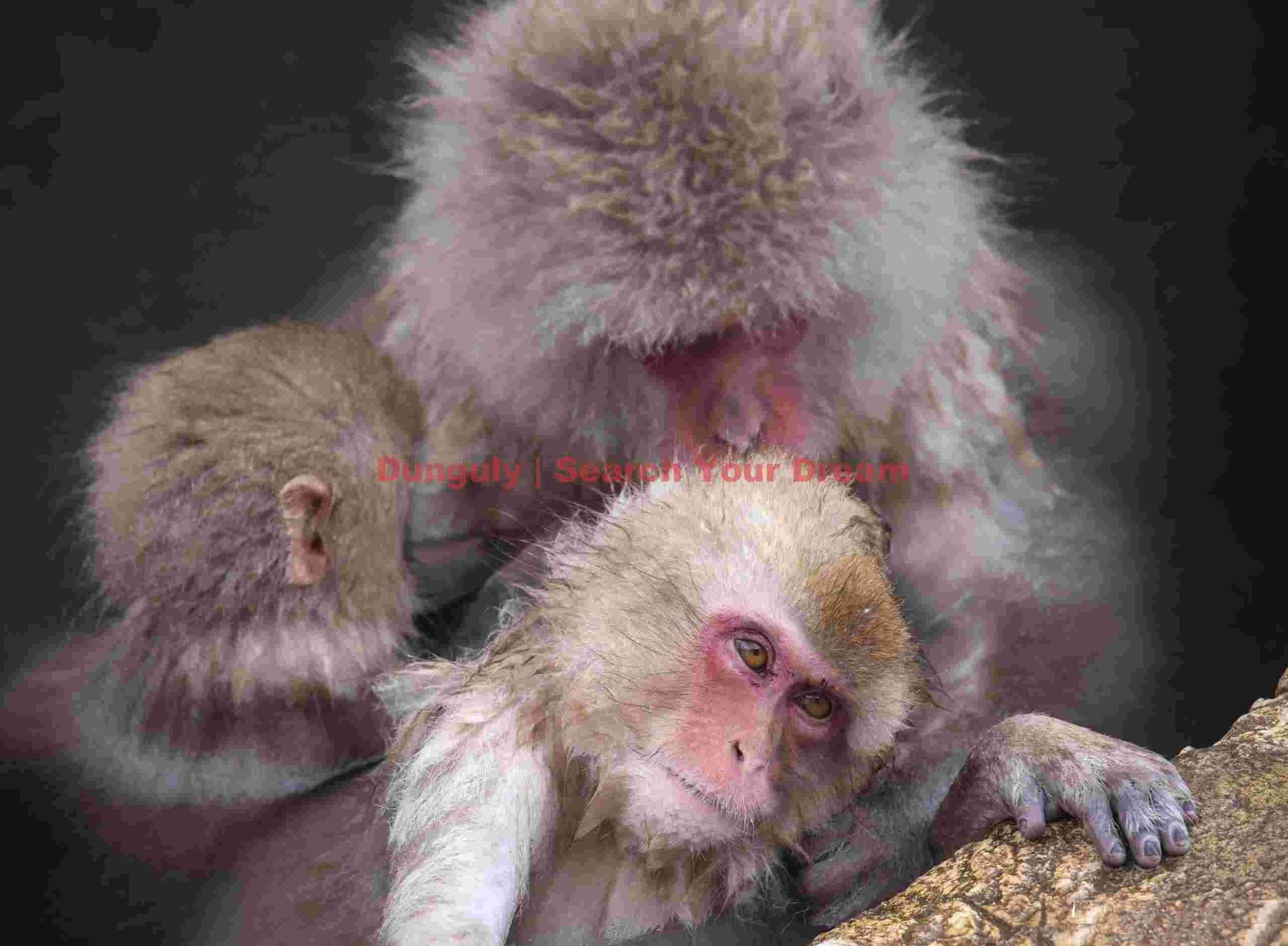 Mother with two youngsters bathing in the onsen