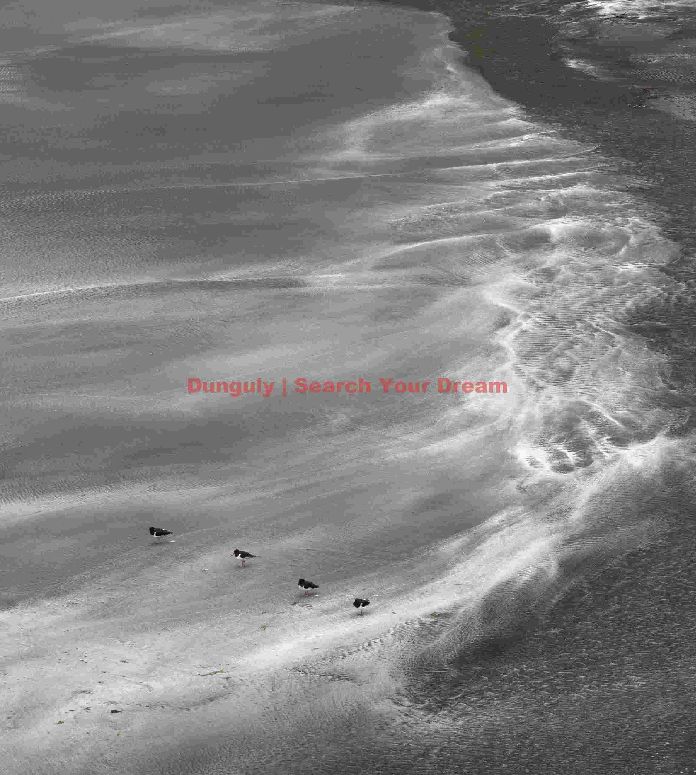 Oystercatchers and sand patterns