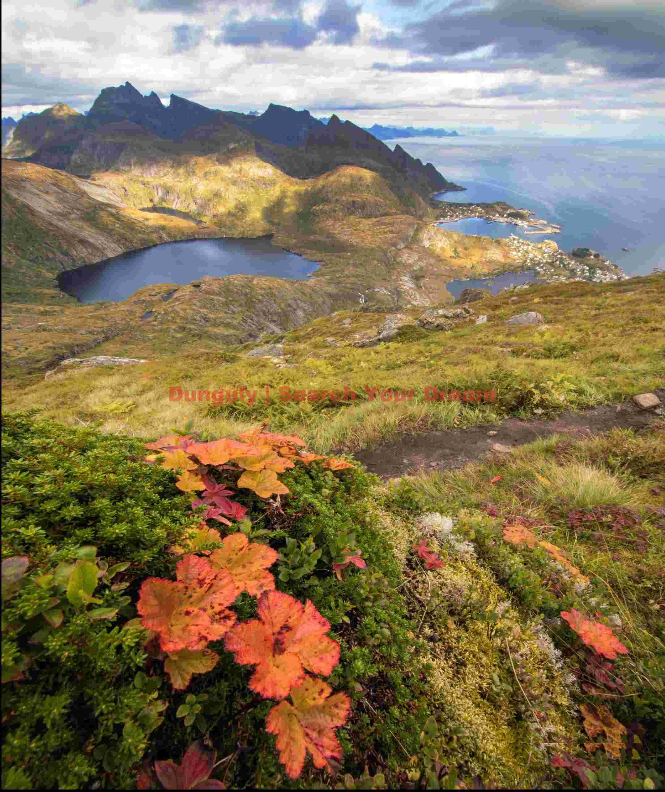 Red leaves, view over Sørvågen
