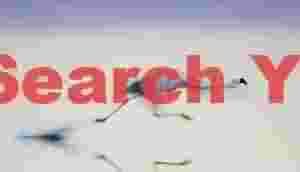 Roadrunner-style Takeoff, Andean Flamingo, Laguna Chaxa, Chile