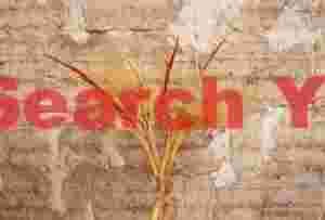 Salt Masonry and Reeds