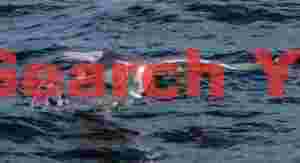 Slaty-backed gull in back-flip to catch fish