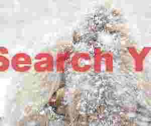 Snow monkey eye peeping through a huddle