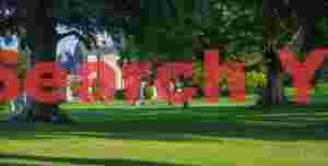 Sunrays on the lawns