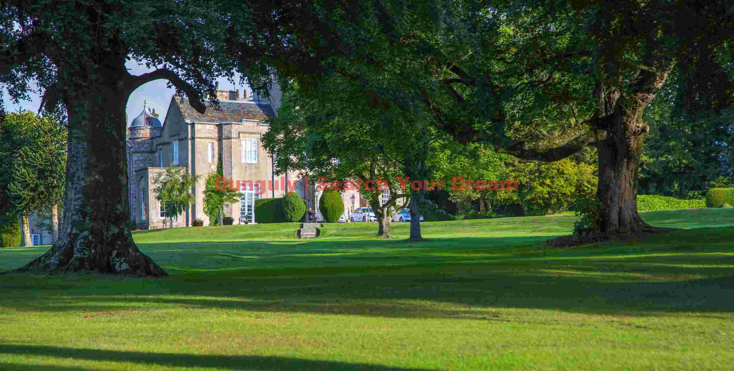 Sunrays on the lawns