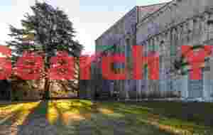 Sunrise behind the great oak tree