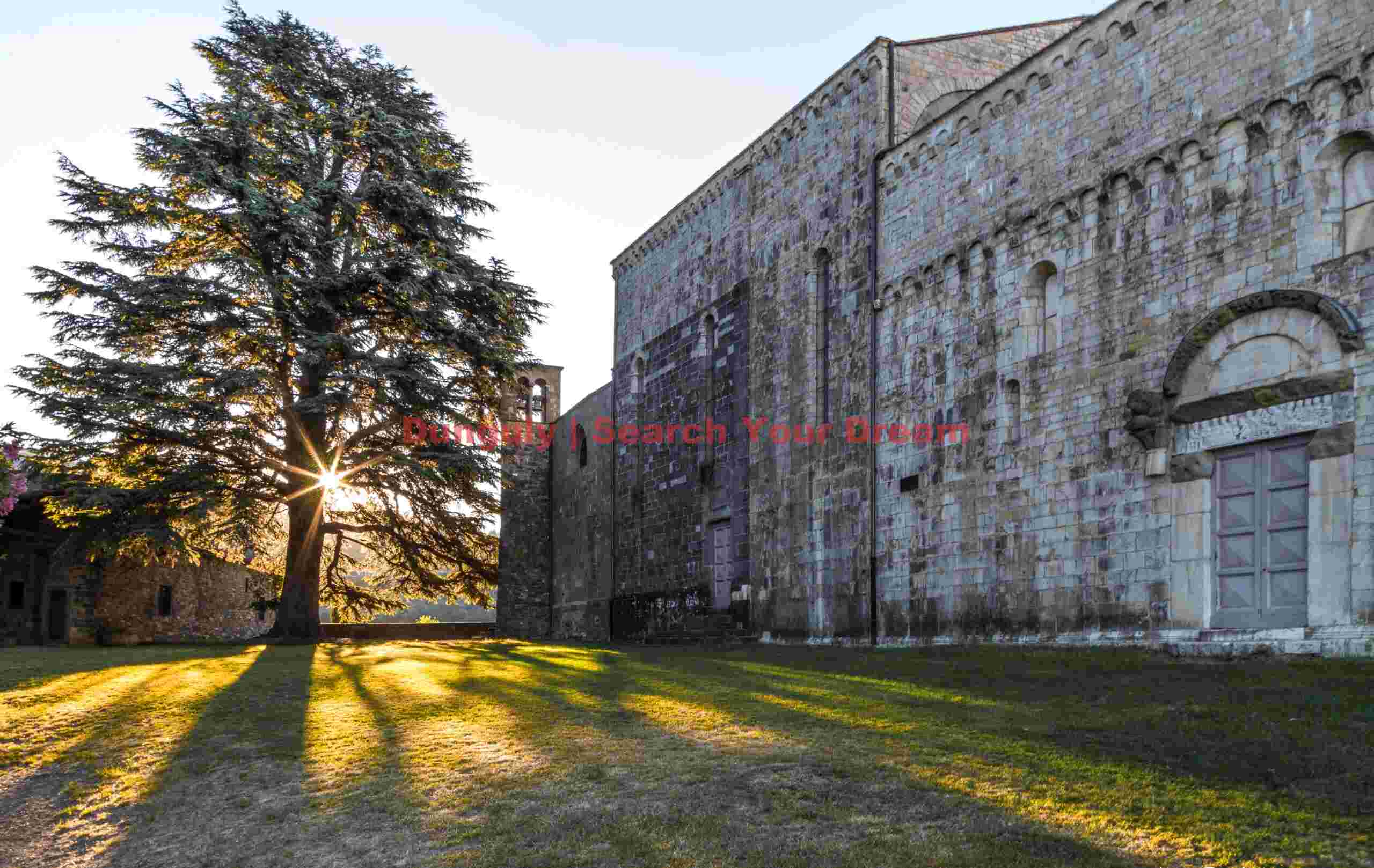 Sunrise behind the great oak tree