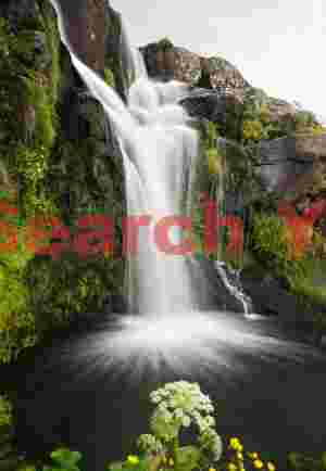 Svartifoss with angelica