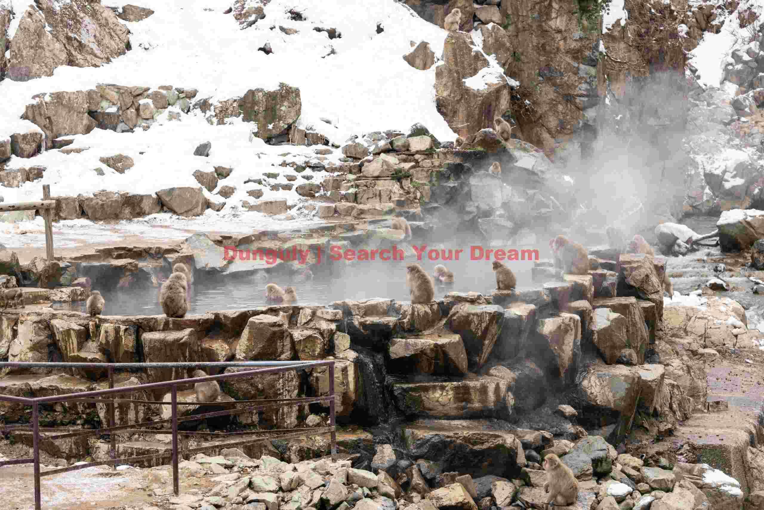 The monkey onsen, early morning before the tourists arrive