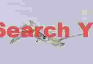 Three whooper swans in flight against white ice backdrop