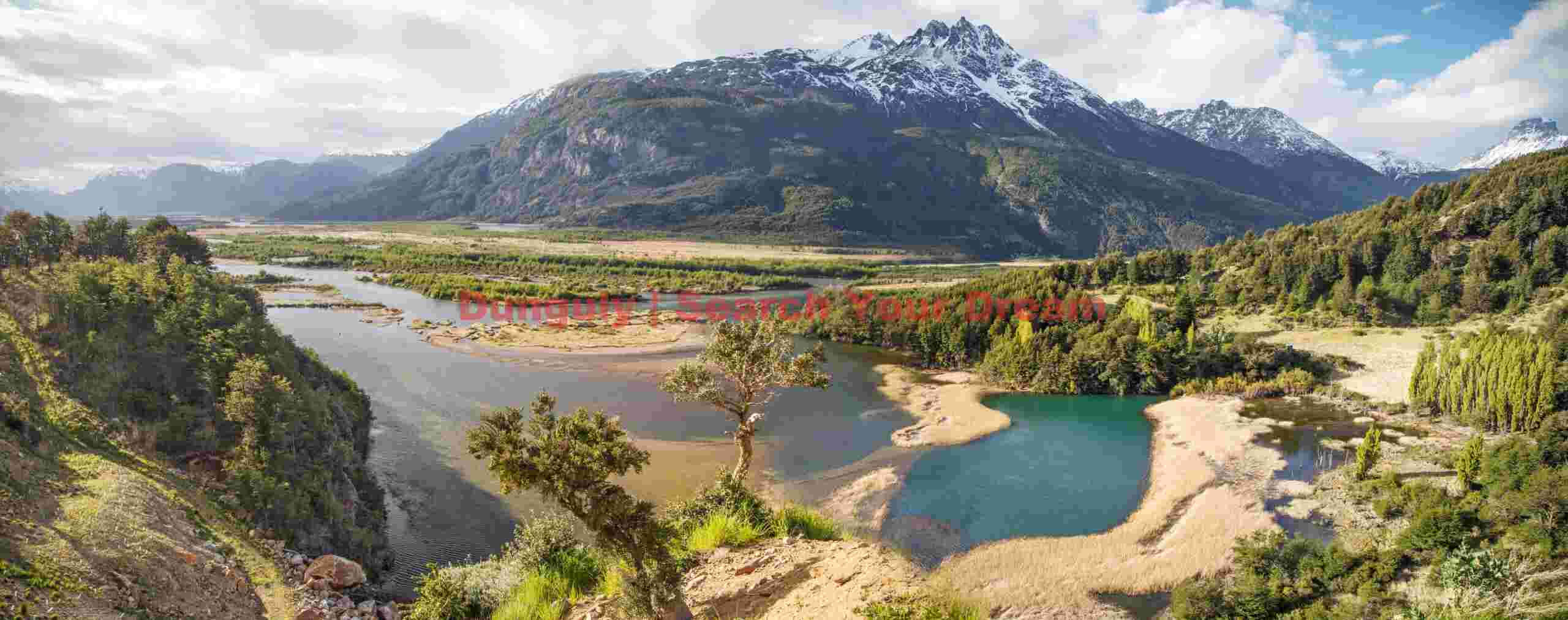 Tree Overlooking Río Ibáñez