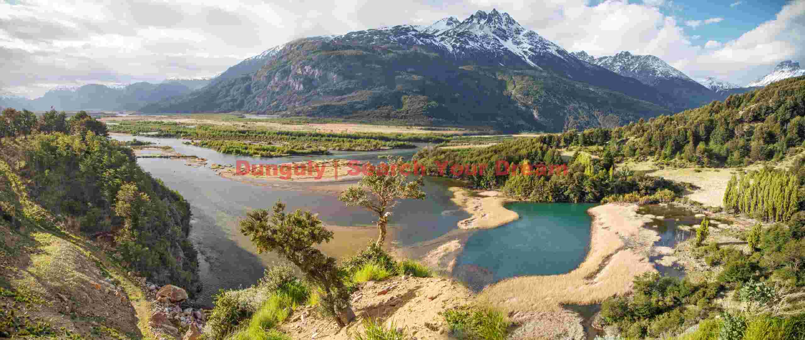 Tree Overlooking Río Ibáñez
