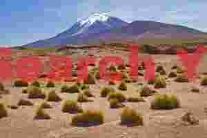 Tufted grass and volvano