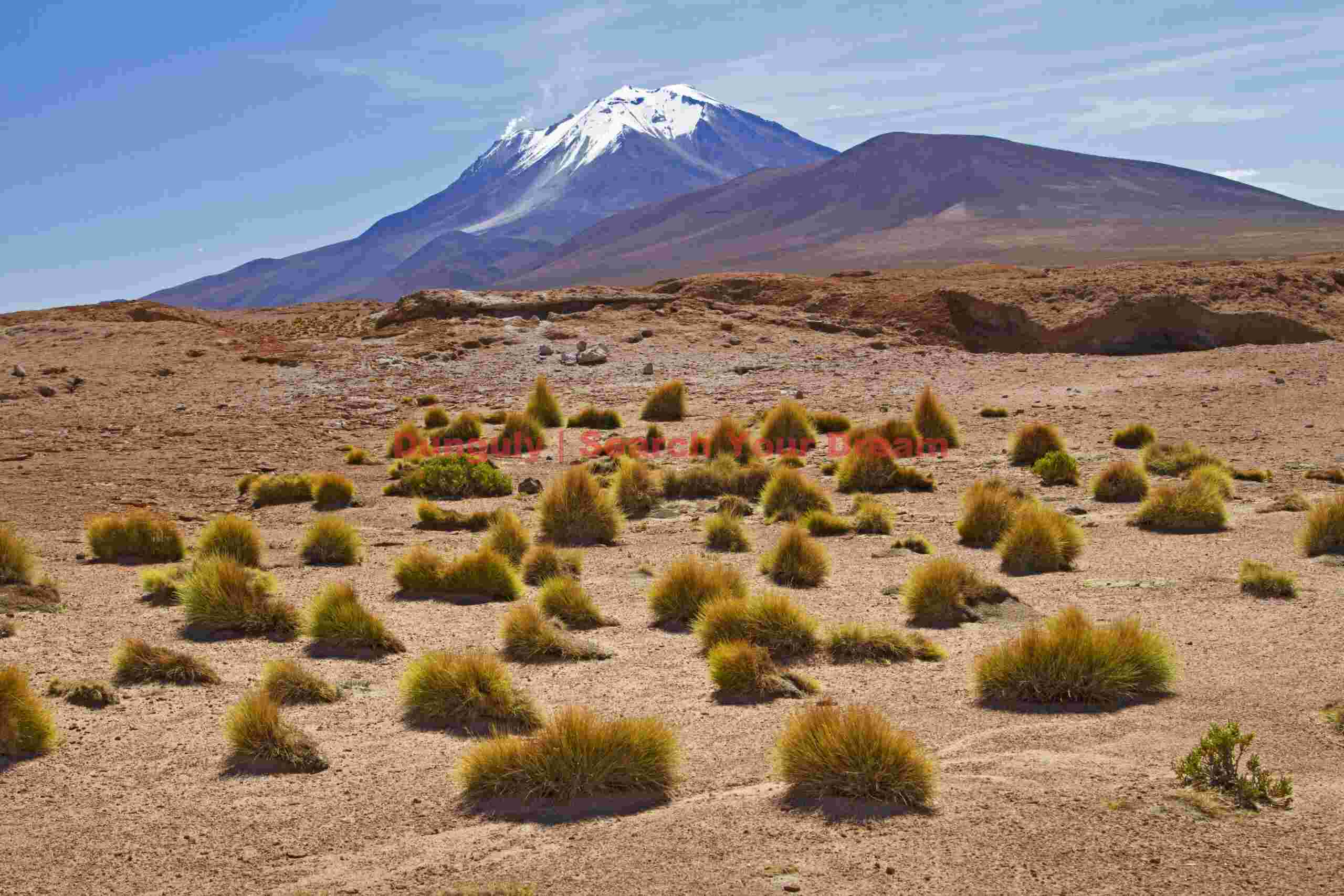 Tufted grass and volvano