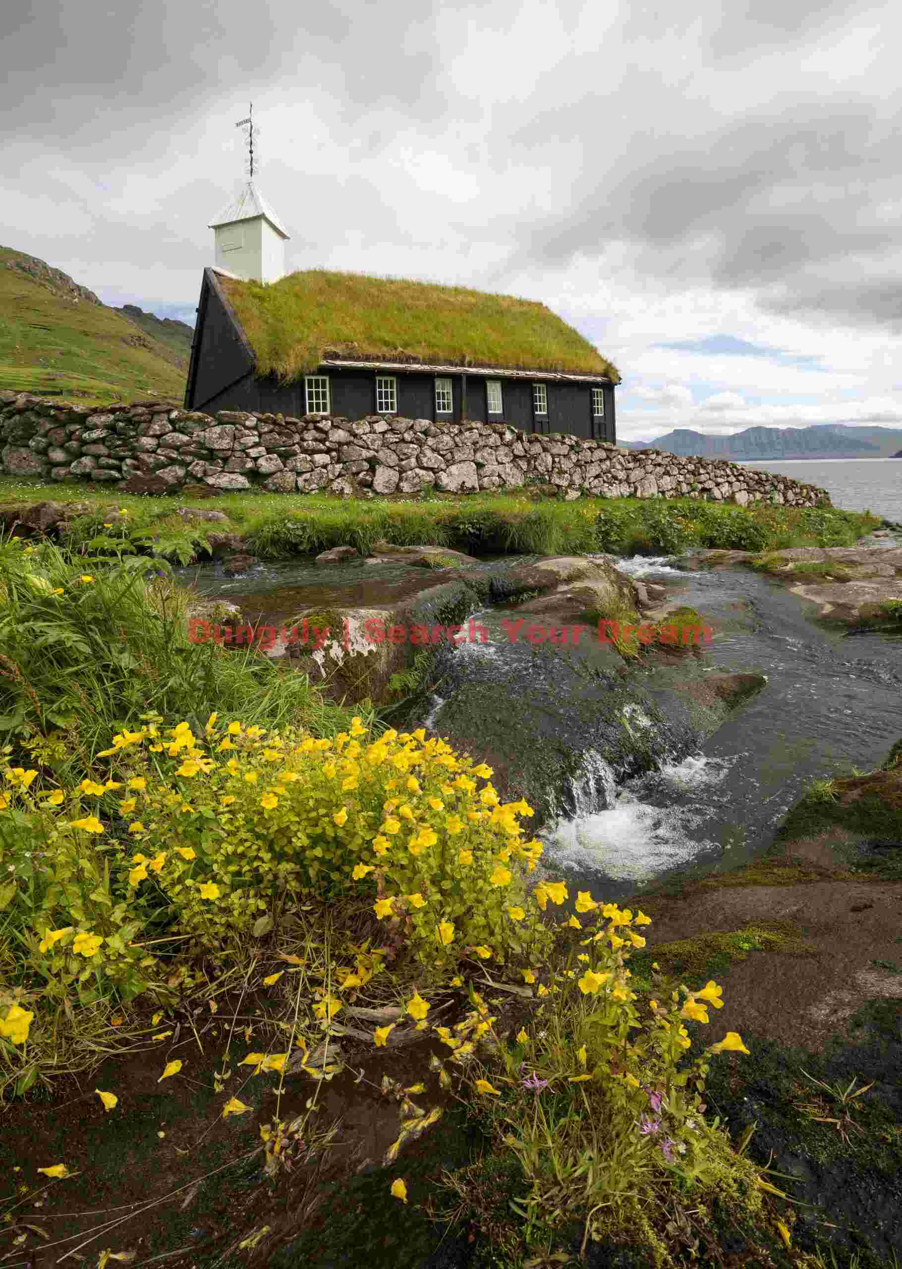 Turf-roofed church and wildflowers