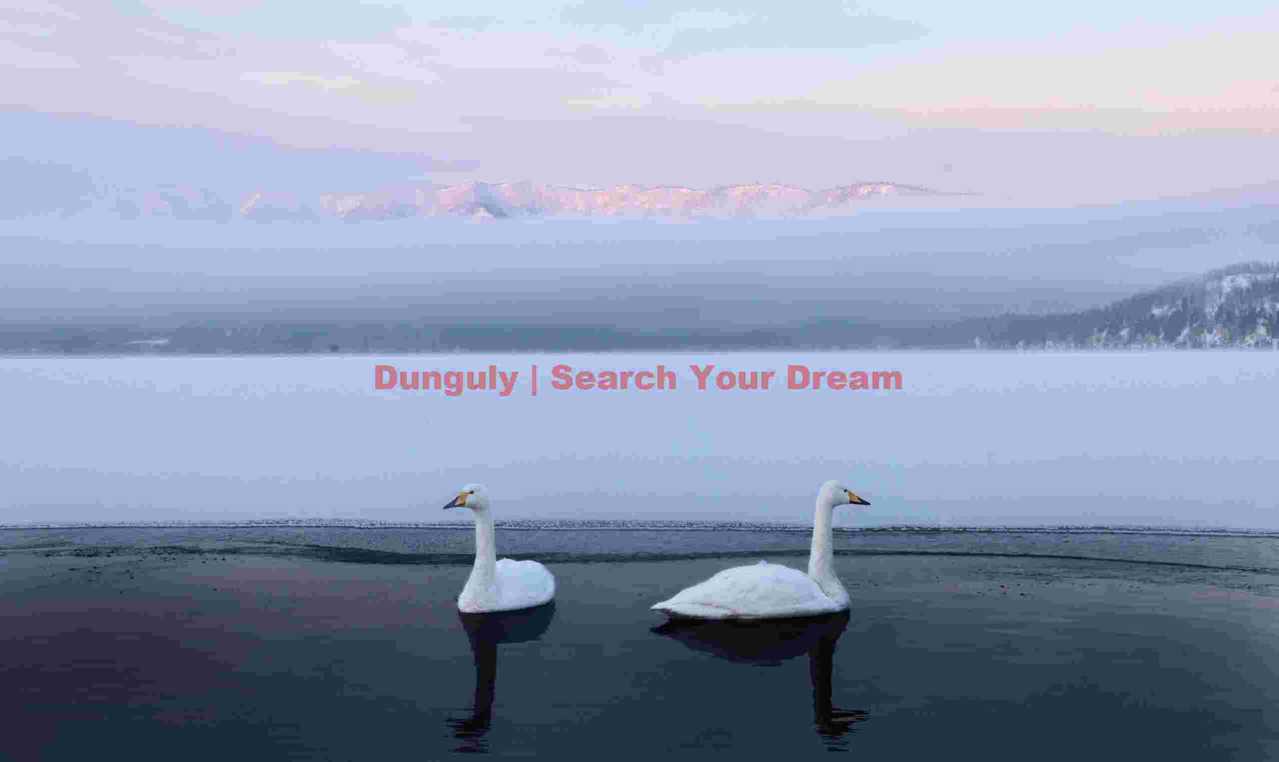 Two whooper swans by the ice edge at misty sunrise