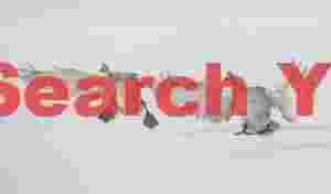 Two whooper swans landing on ice #2