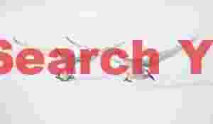 Two whooper swans landing on ice #3