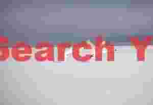 Two whooper swant taking off from ice with grey background mist