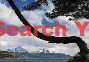 View across the Beagle Channel