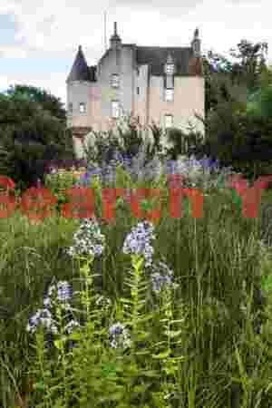 View from the grounds #1