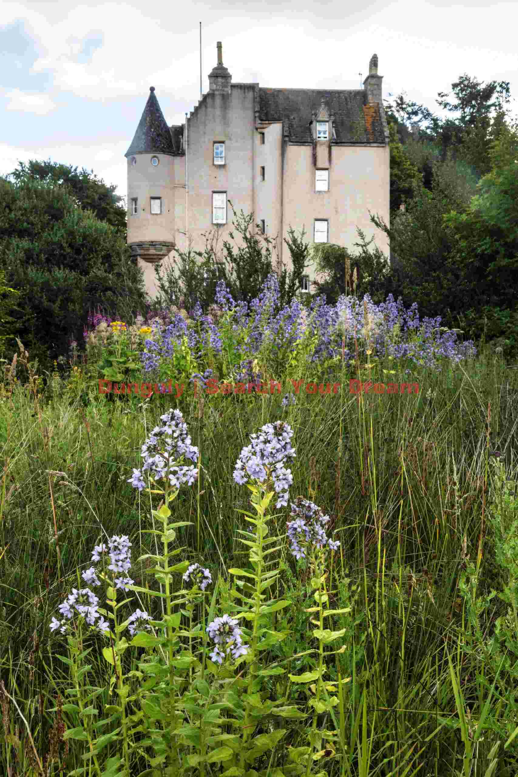 View from the grounds #1