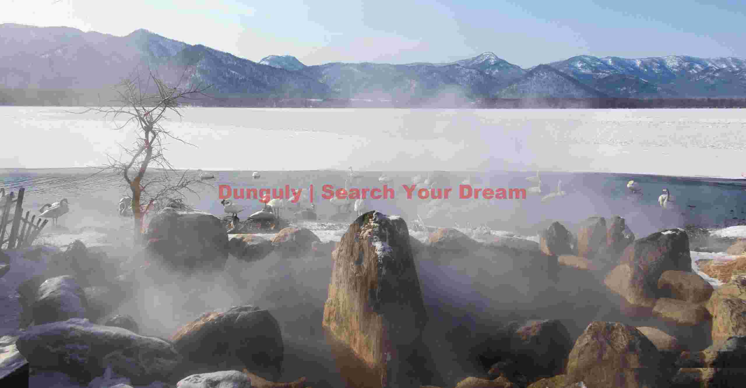 View over onsen of whooper swans on Lake Kussharo