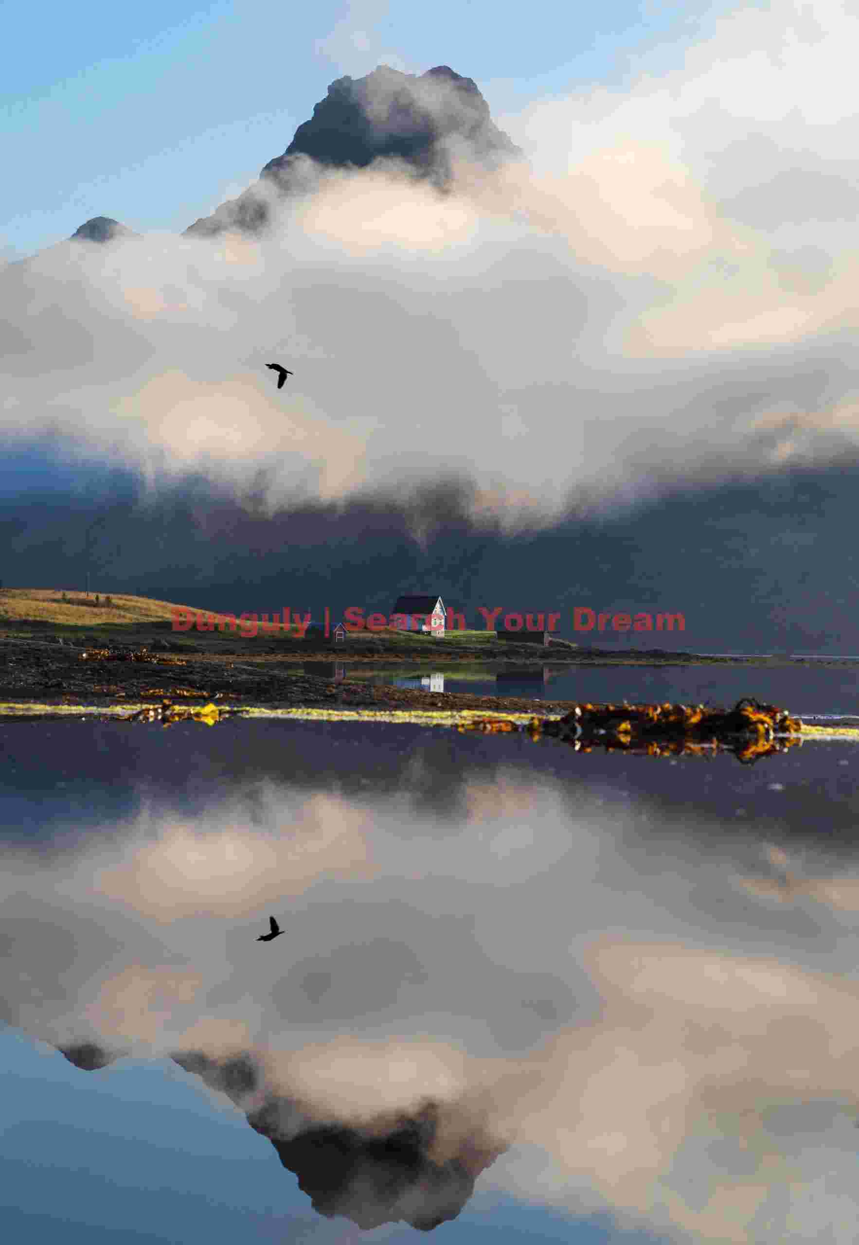 White house, clouds, bird