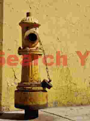 Yellow Hydrant and Wall