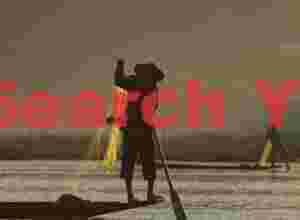 Backlit fishing nets