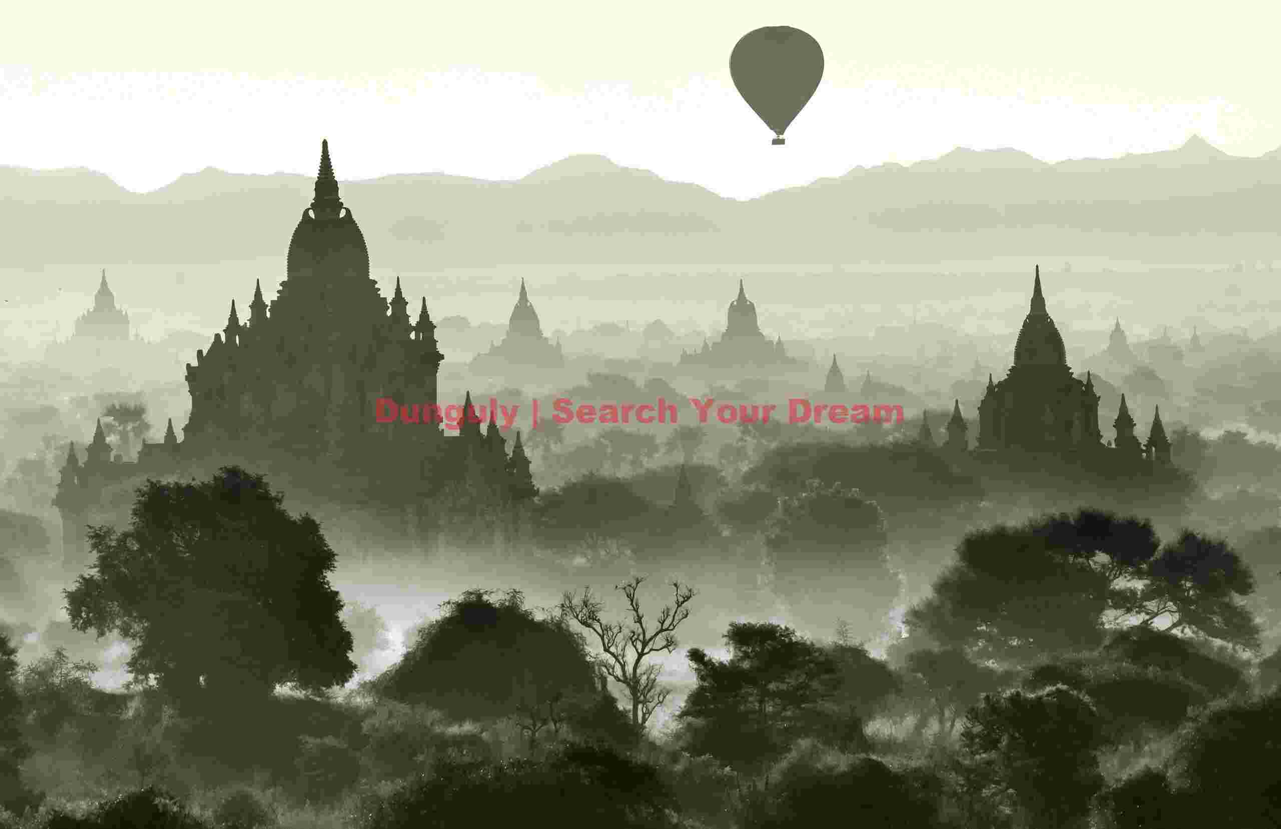 Balloon and tree sillhouetted by mist before the temples