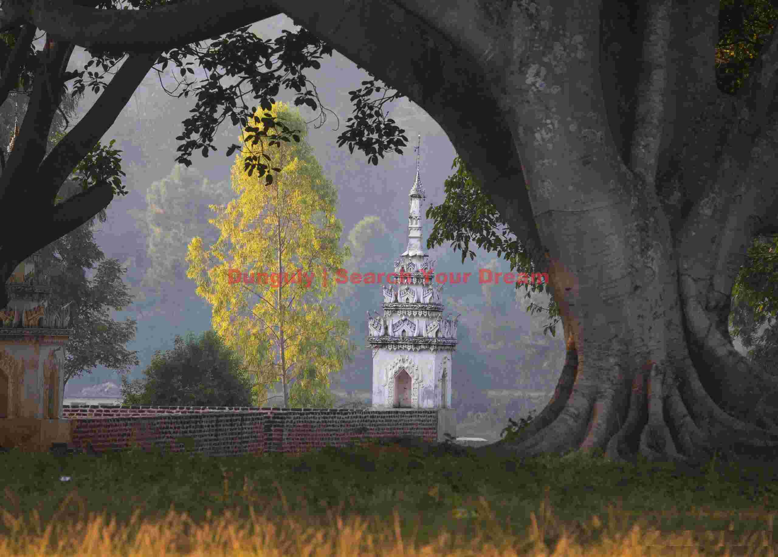 Banyan tree, yellow tree and white stupa