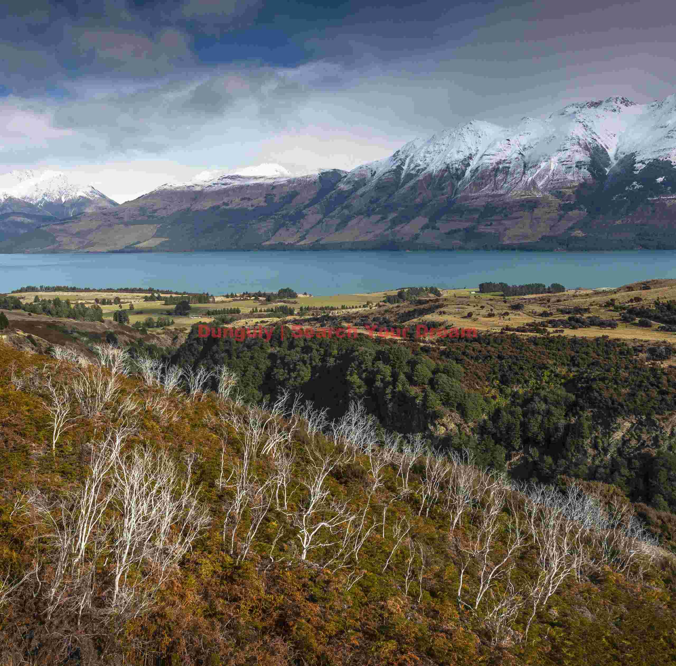 Bare forest and Lake Wakatipu