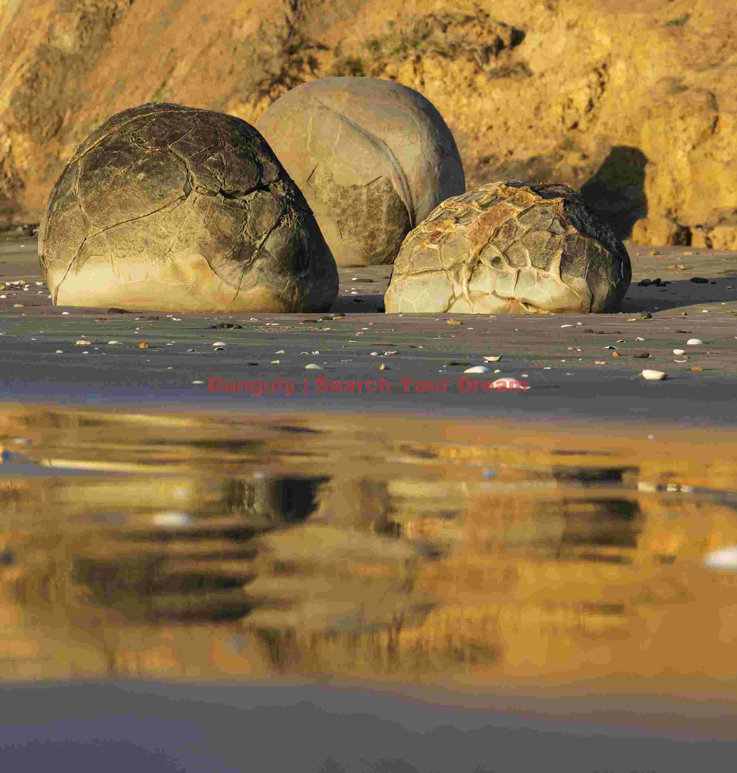 Boulder reflections in wet sand