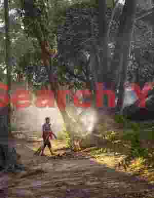 Burning leaves on the riverbank